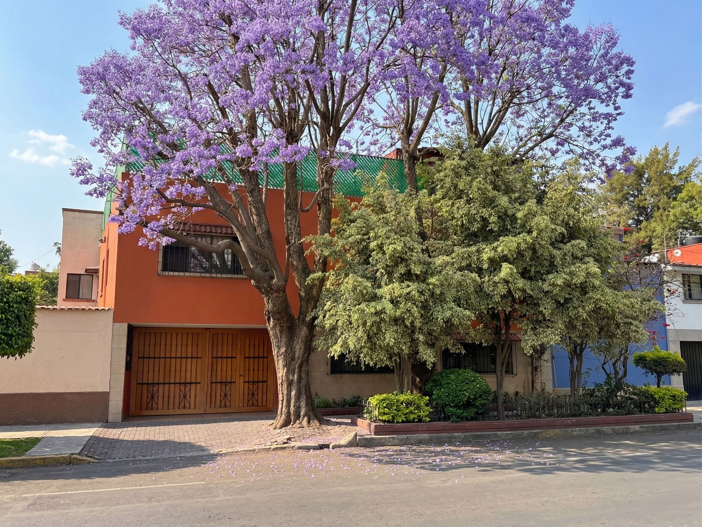 Morada Luna Coyoacán